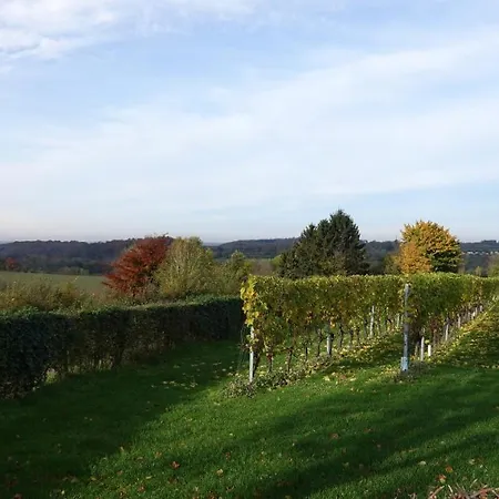 Bed & Breakfast Luxe Vroelen-noorbeek *