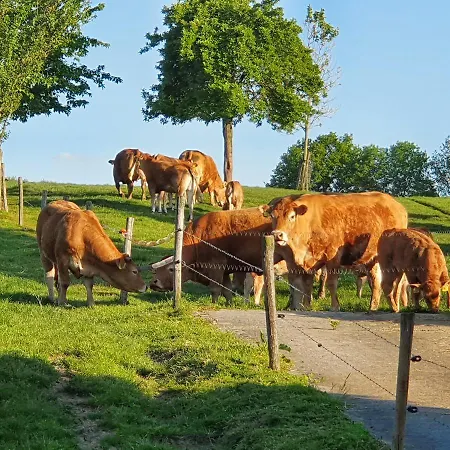 Vroelen-noorbeek