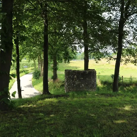 Bed & Breakfast Luxe Vroelen-noorbeek *