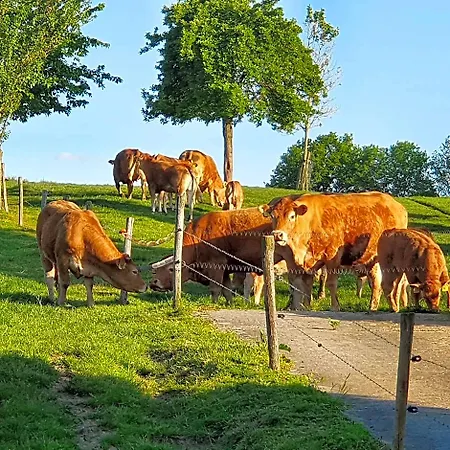 Bed and Breakfast Vroelen-noorbeek Noorbeek